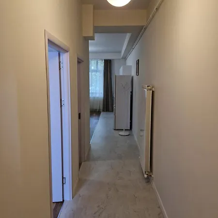 Centro 2 康斯坦察